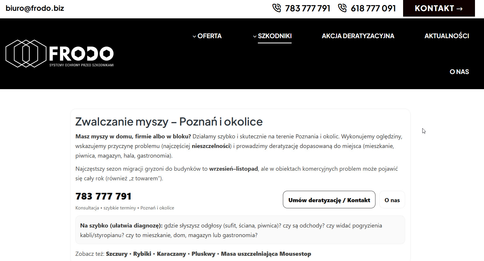Deratyzacja domu i firmy - jak skutecznie pozbyć się gryzoni?