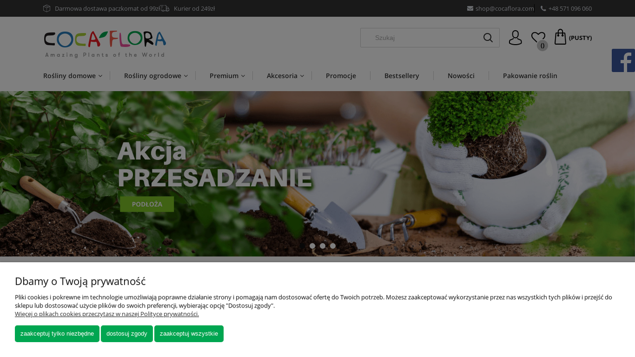 Zrzut strony Sklep z roślinami CocaFlora